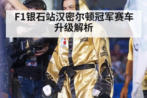 F1银石站汉密尔顿冠军赛车升级解析